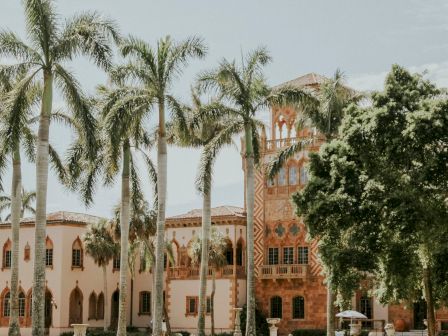 A sunny campus scene with tall palm trees lining a peach-colored building, arched windows, and lush greenery.