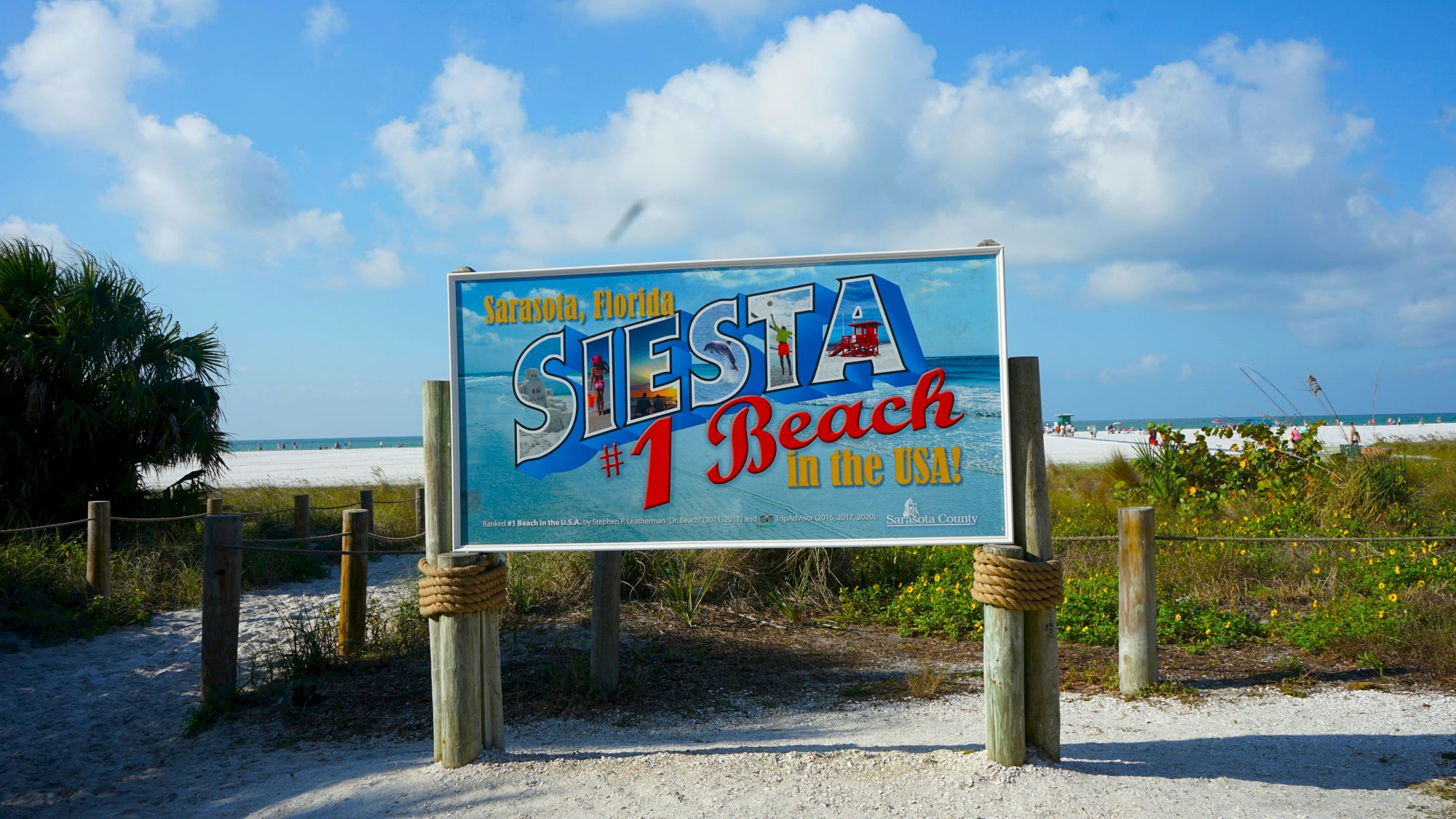 A weathered sign on a sandy beach reads “Siesta Beach” with bright blue sky, ocean, and palm tops in the background, inviting sun and shore fun.